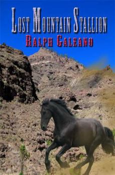 Paperback Lost Mountain Stallion Book