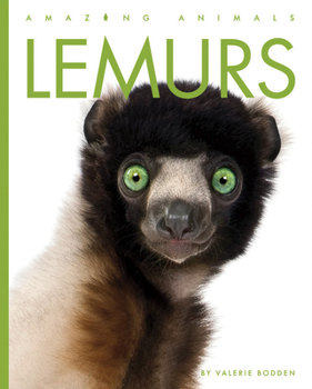 Lemurs - Book  of the Animals are Amazing