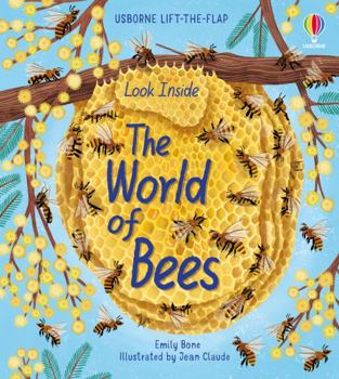 Look Inside The World Of Bees - Book  of the Usborne Look Inside