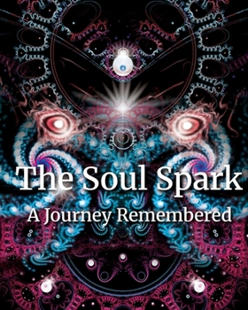 Paperback The Soul Spark Book