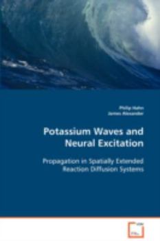 Paperback Potassium Waves and Neural Excitation Book