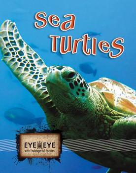 Paperback Sea Turtles Book