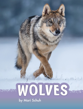 Hardcover Wolves Book
