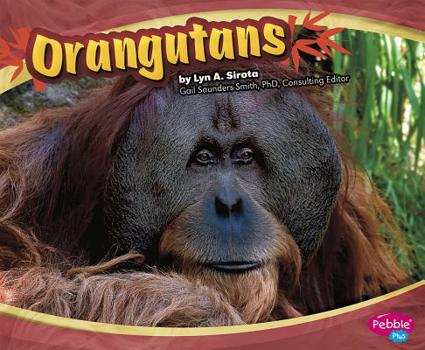 Orangutans - Book  of the Asian Animals