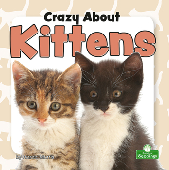 Library Binding Crazy about Kittens Book
