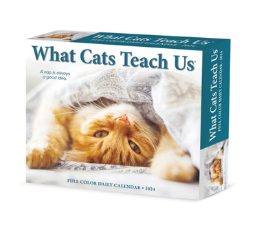 Product Bundle What Cats Teach Us 2024 6.2 X 5.4 Box Calendar Book