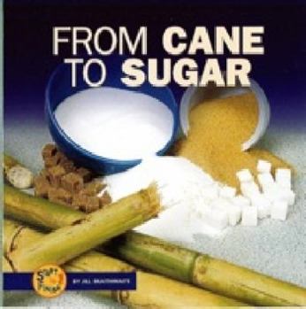 Paperback From Cane to Sugar (Start to Finish) Book