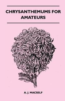 Paperback Chrysanthemums For Amateurs Book