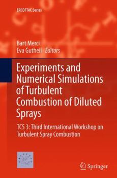 Paperback Experiments and Numerical Simulations of Turbulent Combustion of Diluted Sprays: Tcs 3: Third International Workshop on Turbulent Spray Combustion Book