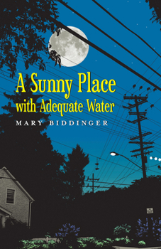 Paperback A Sunny Place with Adequate Water Book