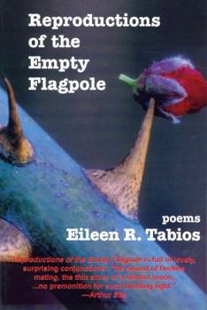 Paperback Reflections of the Empty Flagpole Book