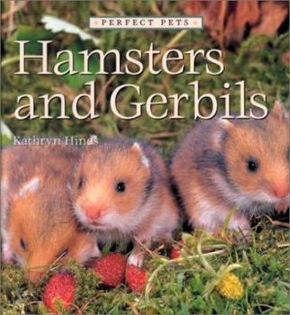 Hamsters and Gerbils - Book  of the Perfect Pets