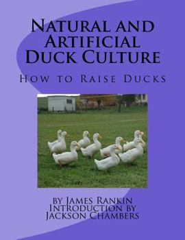 Paperback Natural and Artificial Duck Culture: How to Raise Ducks Book