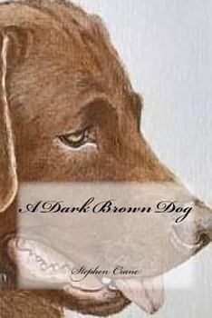 Paperback A Dark Brown Dog Book