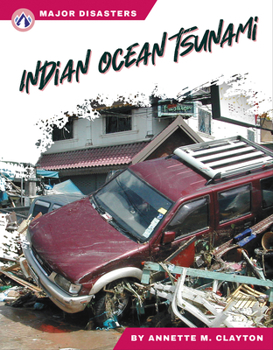 Library Binding Indian Ocean Tsunami Book