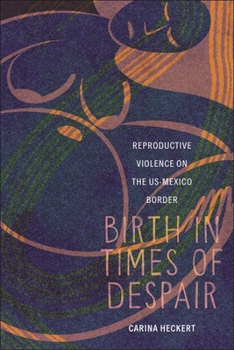 Hardcover Birth in Times of Despair: Reproductive Violence on the Us-Mexico Border Book