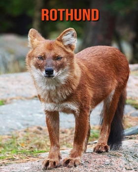 Rothund: Sagenhafte Fotos & Buch mit lustigem Wissen über Rothund für Kinder (German Edition)