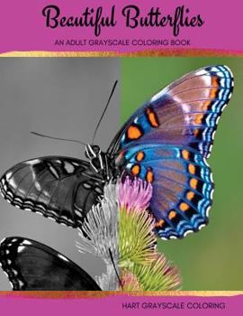 Paperback Beautiful Butterflies: An Adult Grayscale Coloring Book