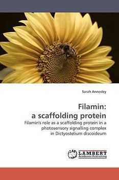 Paperback Filamin: A Scaffolding Protein Book
