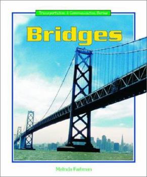 Library Binding Bridges Book