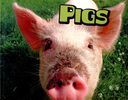 Paperback Pigs (Pebble Plus: Farm Animals) Book