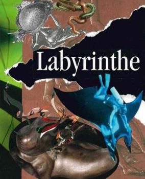 Paperback Labyrinthe: Poesie im 21. Jahrhundert [German] Book