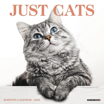 Calendar Just Cats 2020 Wall Calendar Book