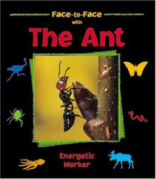 Hardcover The Ant: Energetic Worker (Face-to-face) Book