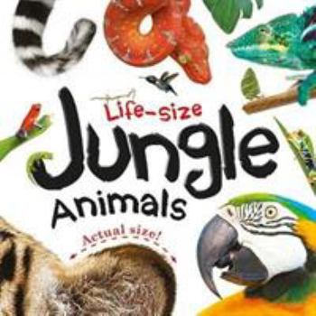 Board book Life-size: Jungle Animals (Life-size Boards) Book