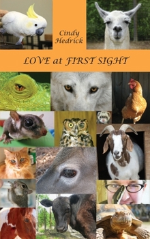 Hardcover Love at First Sight Book
