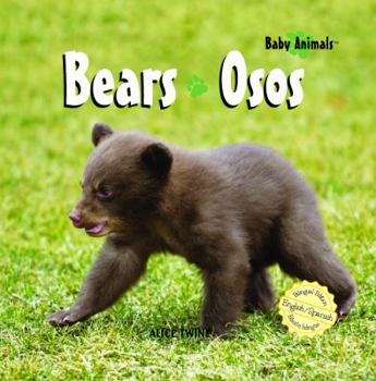 Library Binding Bears / Osos Book