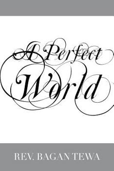 Paperback A Perfect World Book