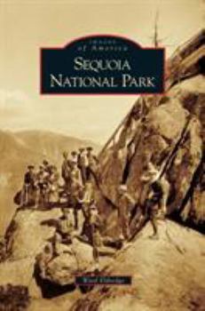 Hardcover Sequoia National Park Book