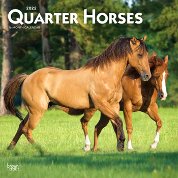 Calendar Quarter Horses 2022 Square Book