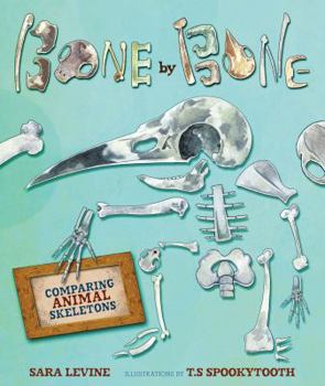 Bone by Bone: Comparing Animal Skeletons - Book  of the Animal by Animal