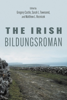 The Irish Bildungsroman (Irish Studies)