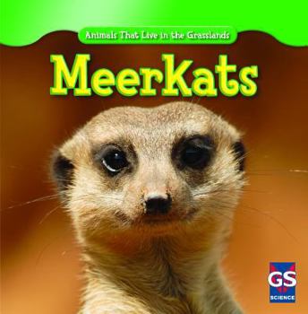 Meerkats - Book  of the Animals That Live in the Grasslands