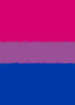 Paperback Bisexual Pride Flag Sketch Journal Book