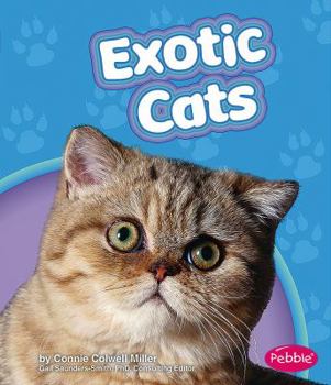 Hardcover Exotic Cats Book