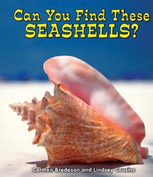 Can You Find These Seashells? - Book  of the All About Nature