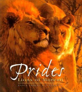 Hardcover Prides: The Lions of Moremi Book