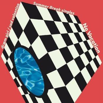 Vinyl Summer Break Singles (2022 Re Press) Book