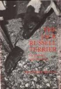 The Jack Russell Terrier