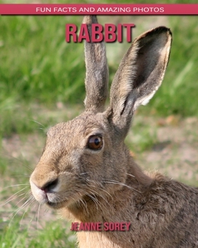 Paperback Rabbit: Fun Facts and Amazing Photos Book
