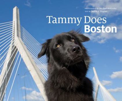 Hardcover Tammy Does Boston Book