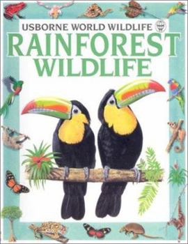 Paperback Rainforest Wildlife Book
