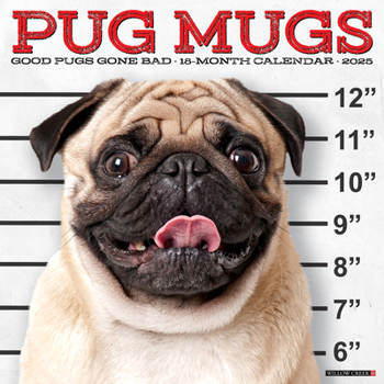 Calendar Pug Mugs 2025 12 X 12 Wall Calendar Book