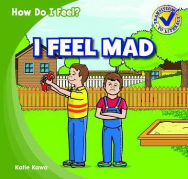 Paperback I Feel Mad Book