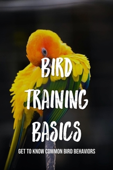 Paperback Bird Training Basics: Get To Know Common Bird Behaviors: How To Begin Training Your Pet Bird Book