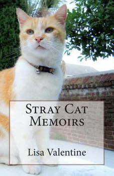 Paperback Stray Cat Memoirs Book